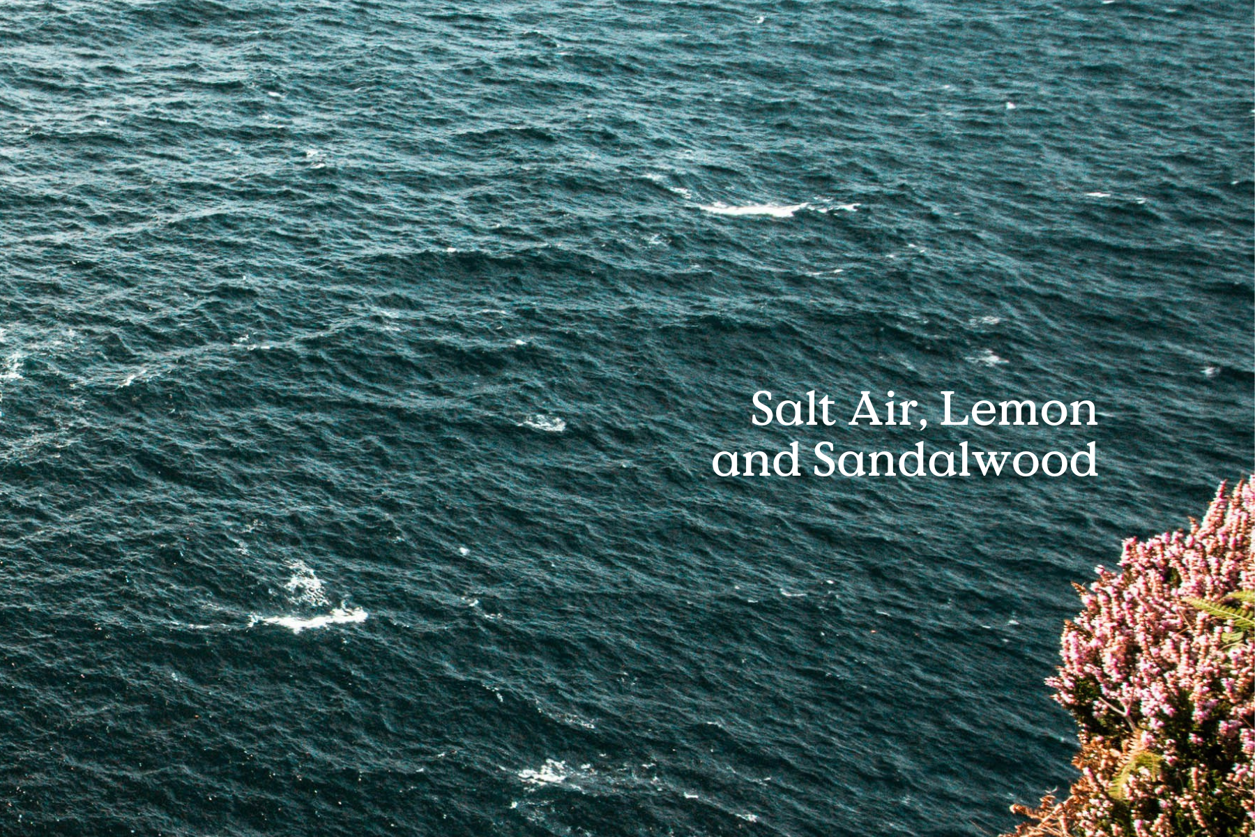 Classic Sea Diffuser