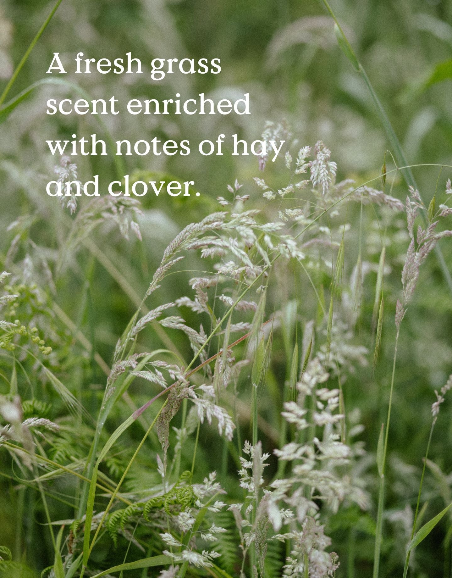 Meadow Soap