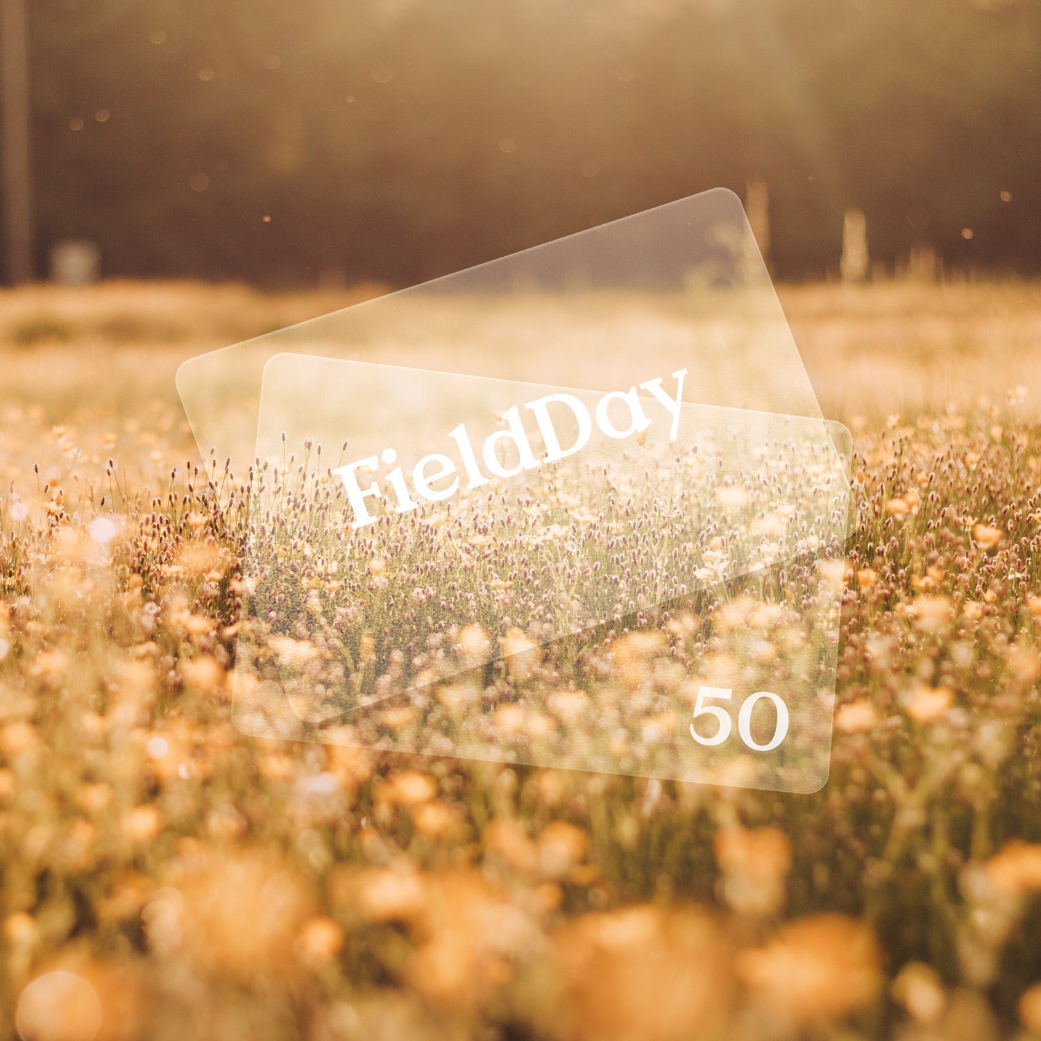 Digital Gift Card