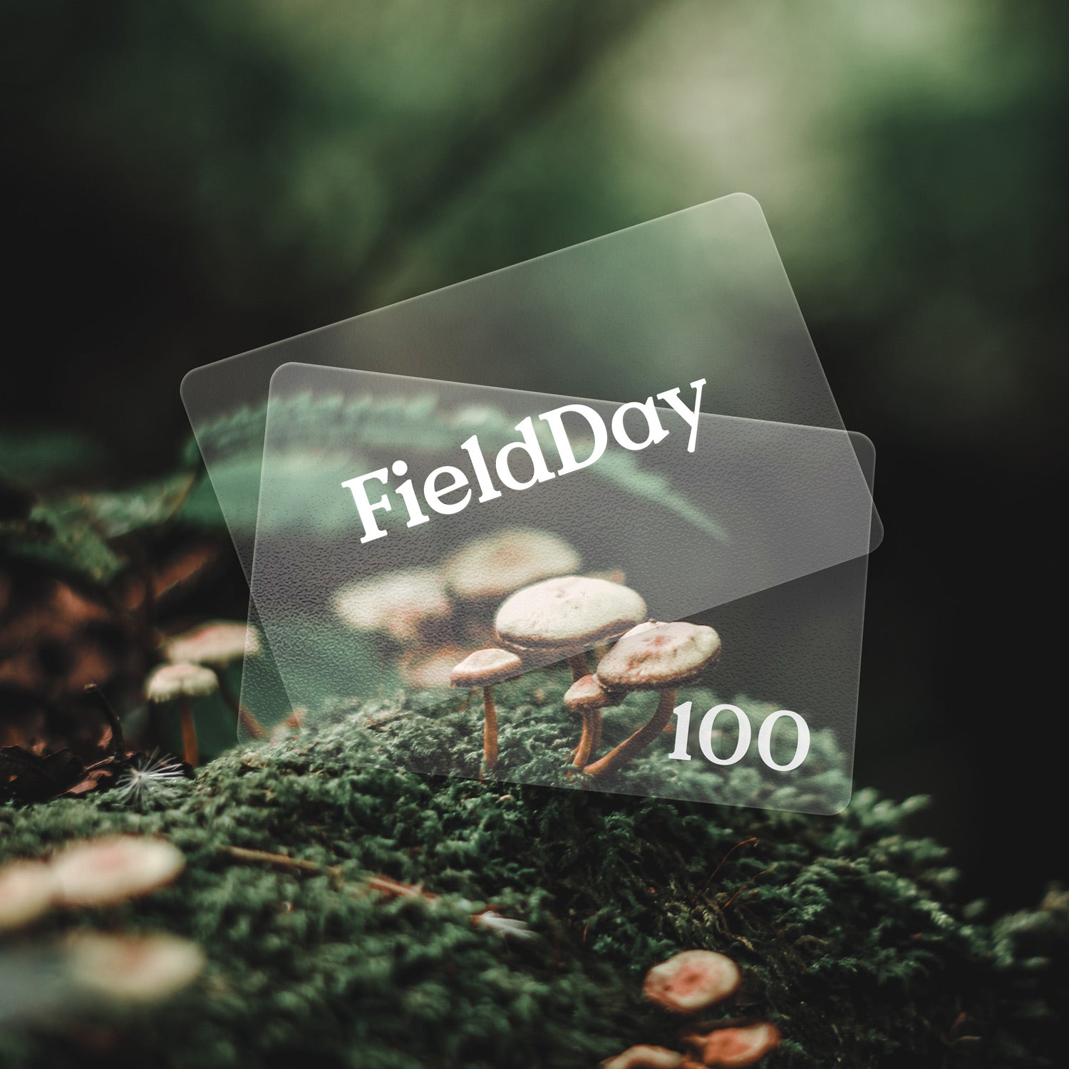 Digital Gift Card