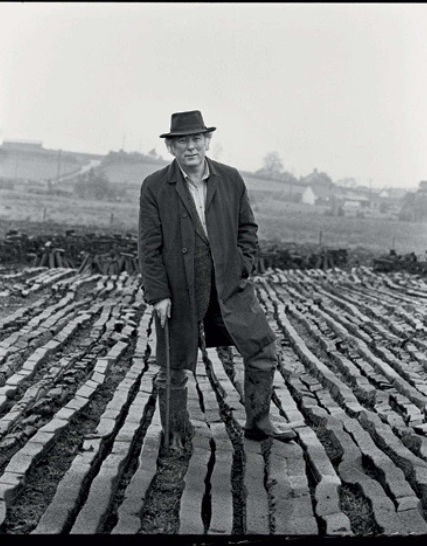 Field Work by Seamus Heaney