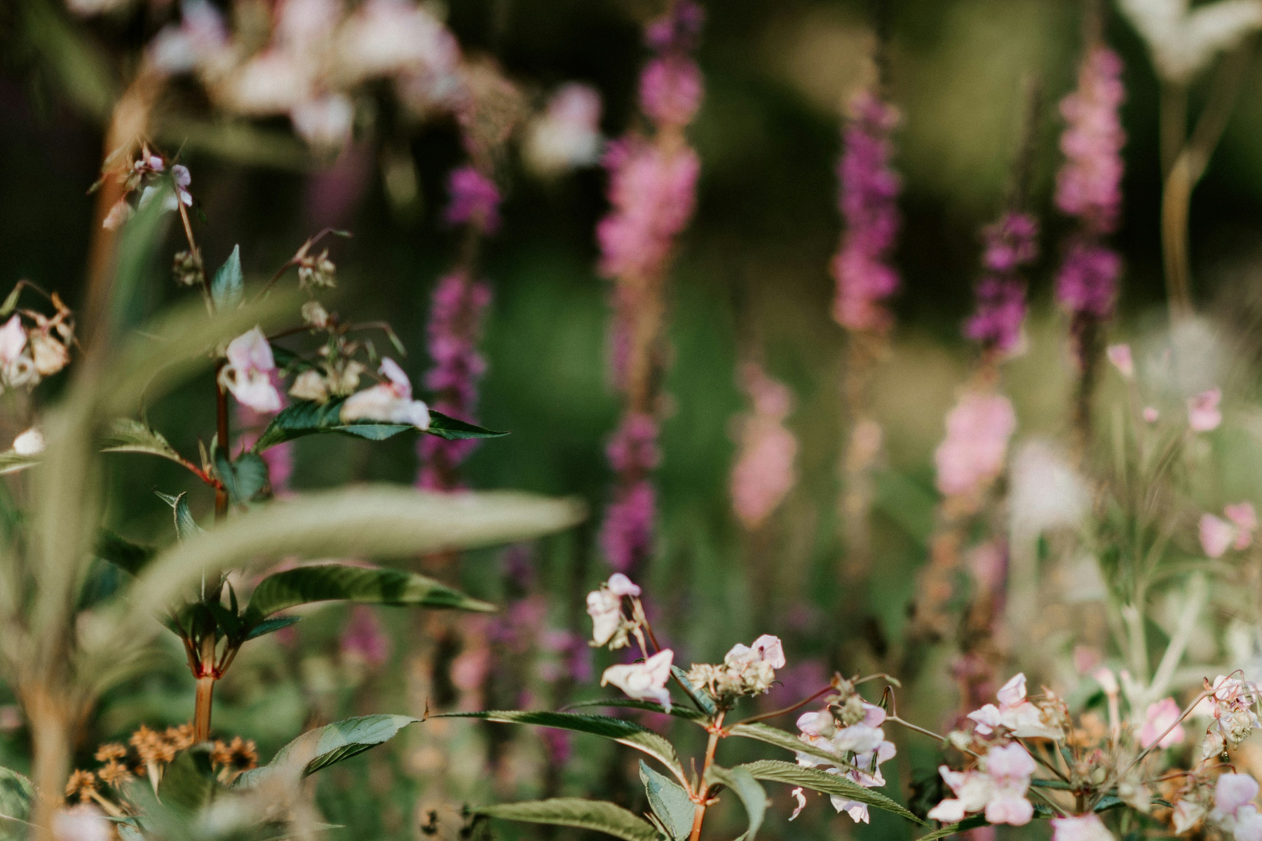 Classic Garden Diffuser