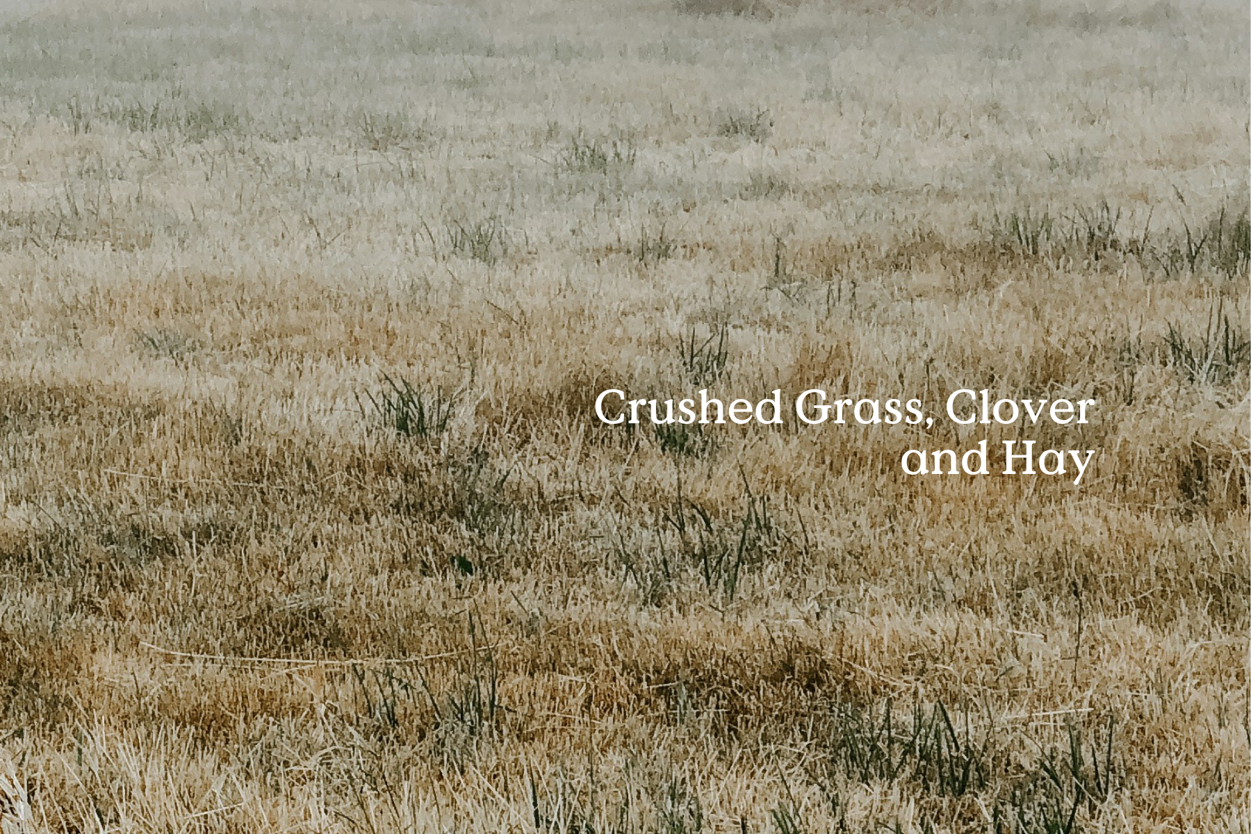 Classic Hay Diffuser