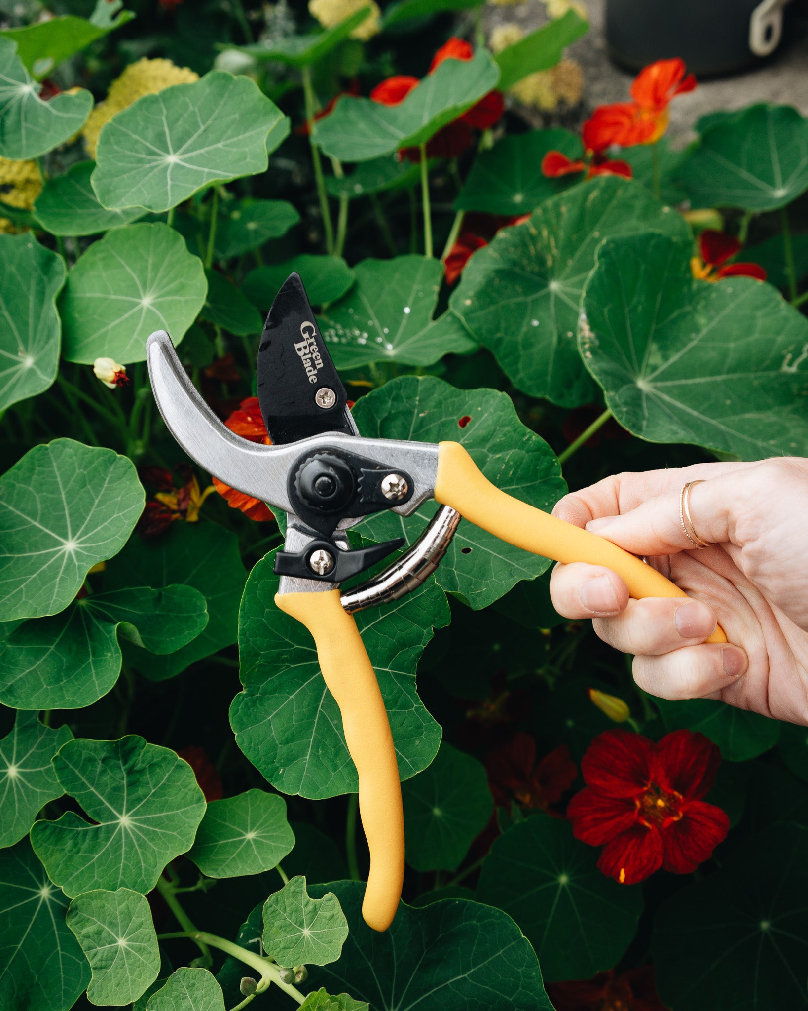 Yellow Garden Secateurs