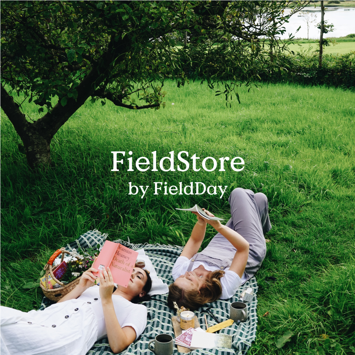 Introducing FieldStore by FieldDay