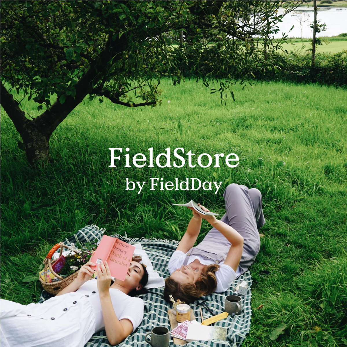 Introducing FieldStore by FieldDay | Field Day Ireland