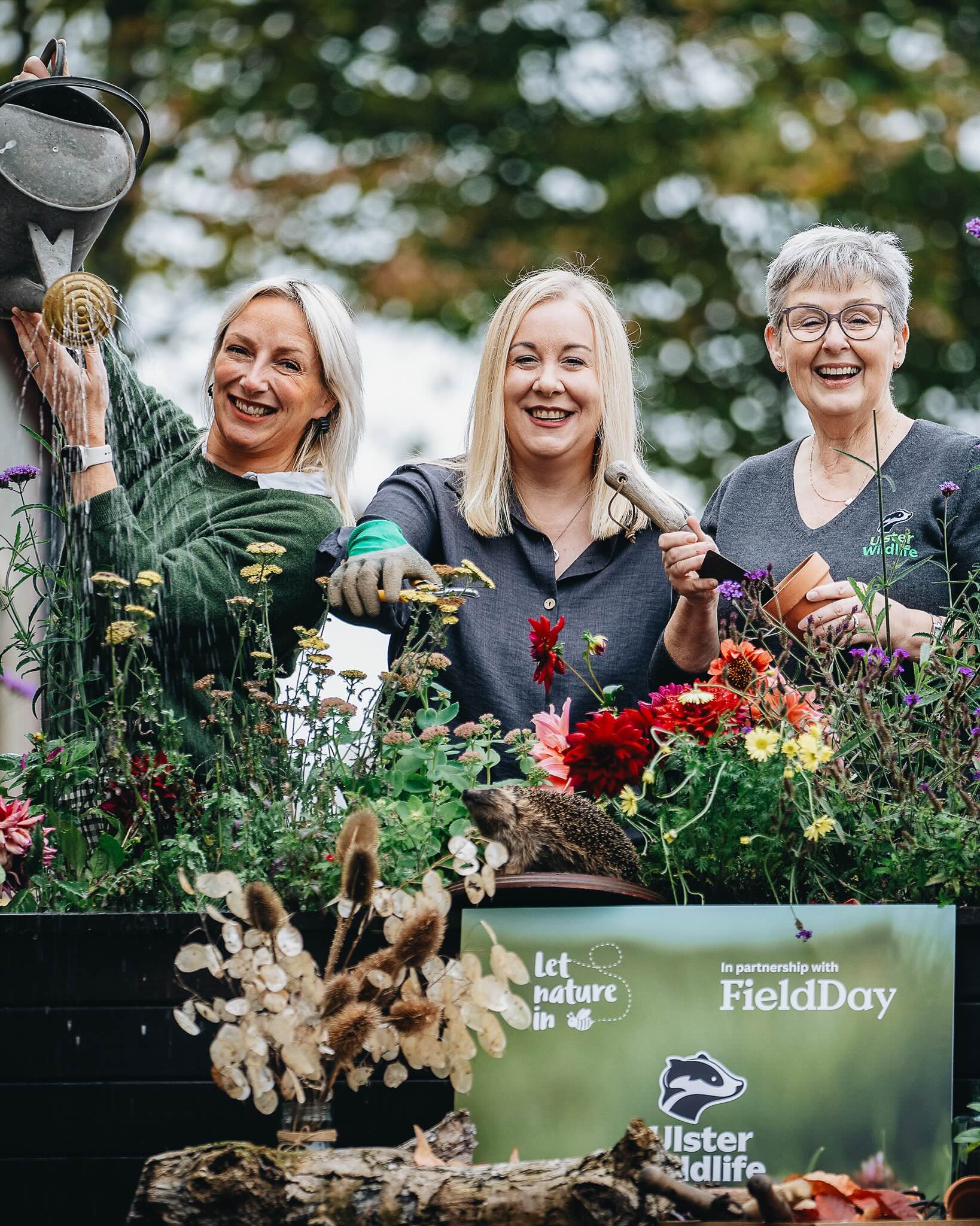 FieldDay partners with Ulster Wildlife!