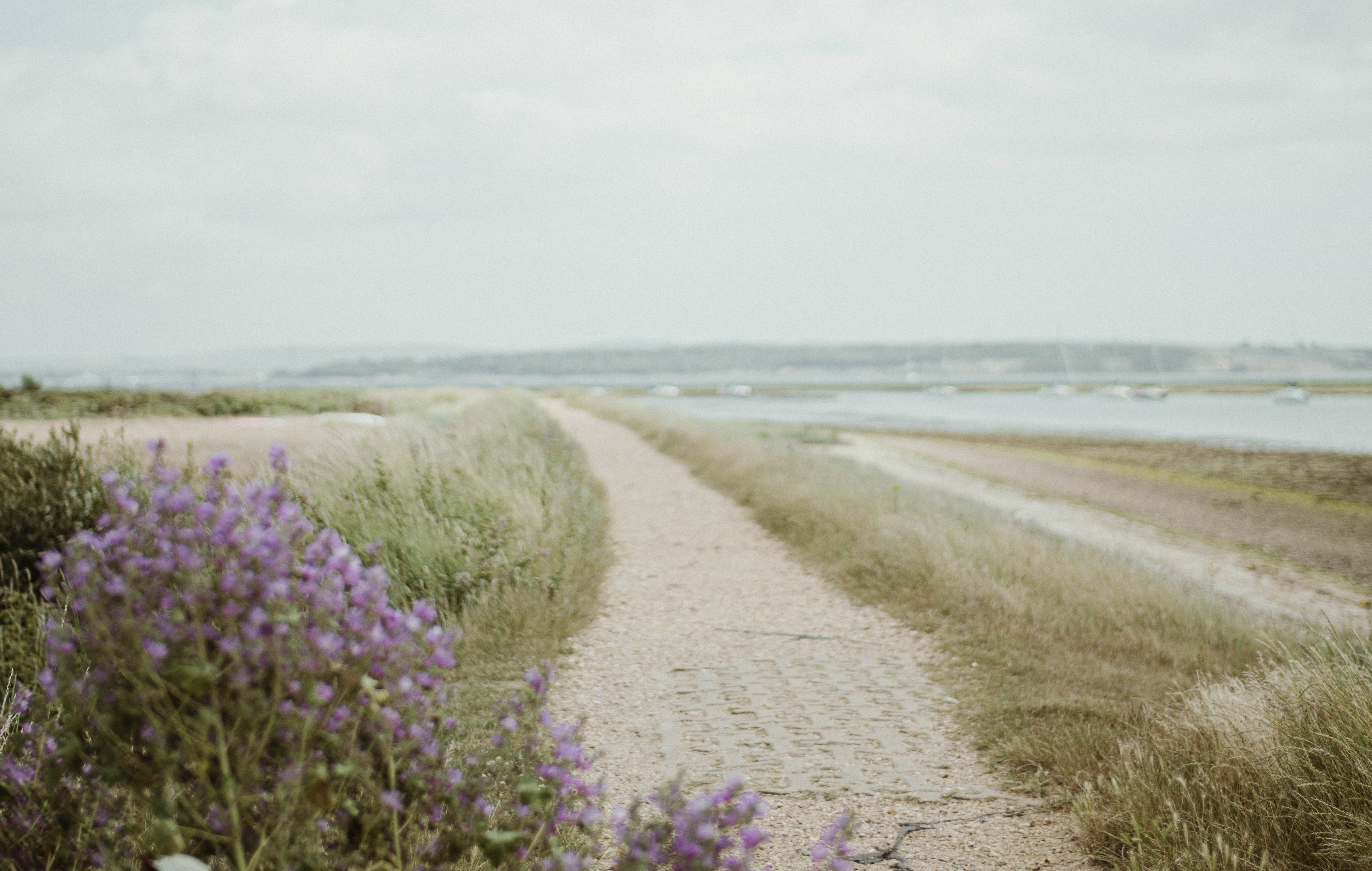 Field Notes: Summer Edition