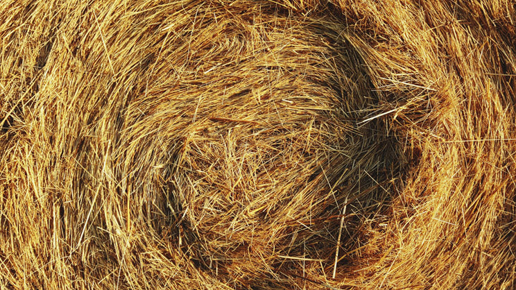 Making hay while the sun shines...