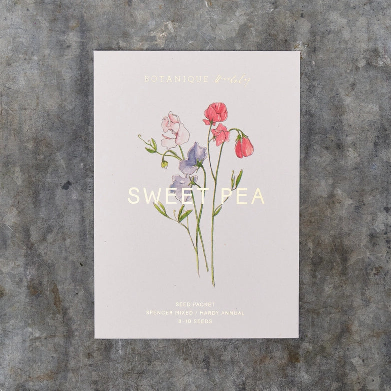Sweet Pea Spencer Flower Seeds