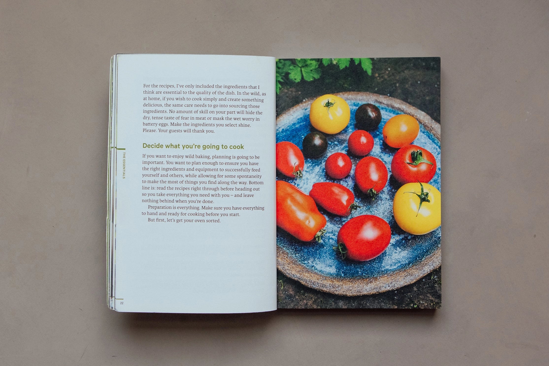 Do Wild Baking, Guide to Campfire Cooking Book