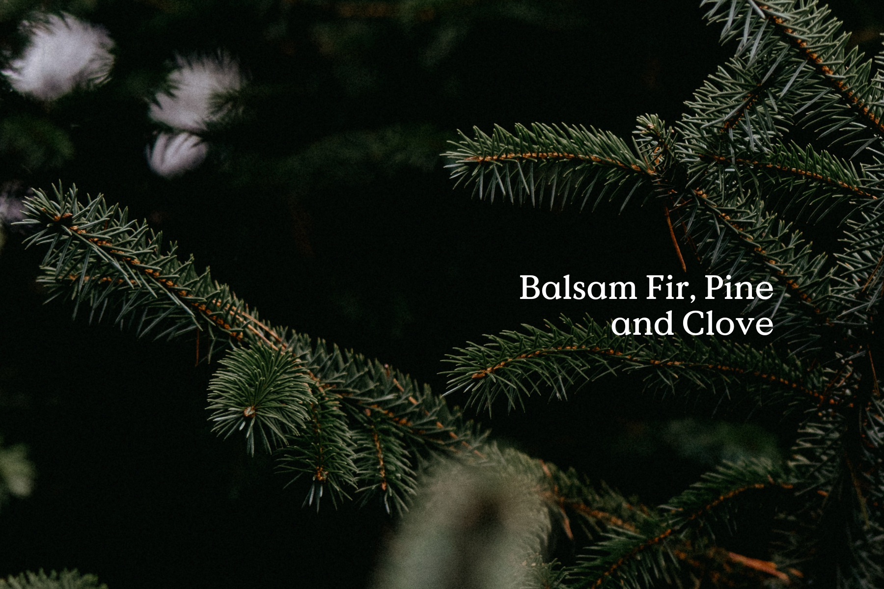 Classic Fir Candle