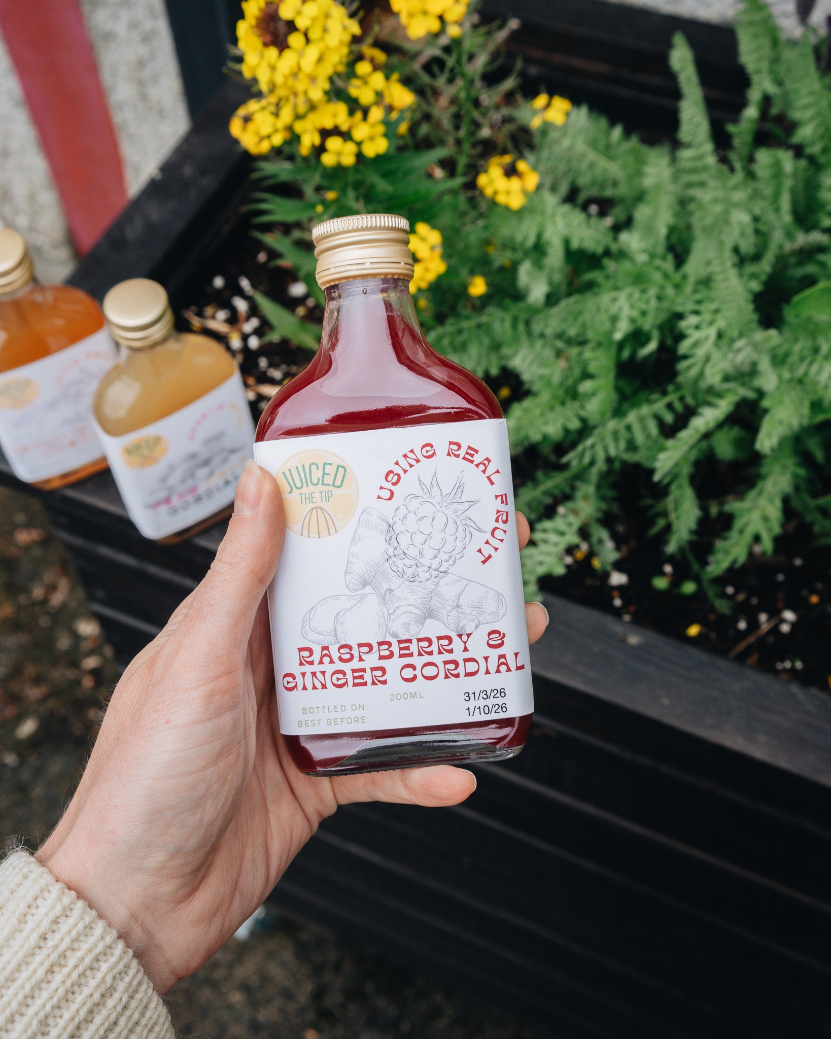Raspberry & Ginger Cordial