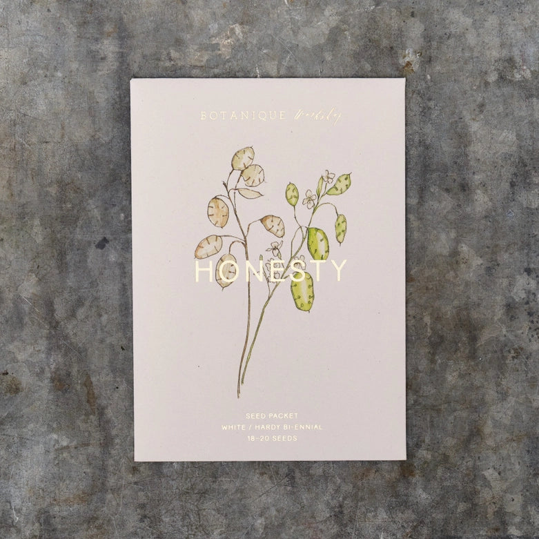 Honesty Flower Seeds
