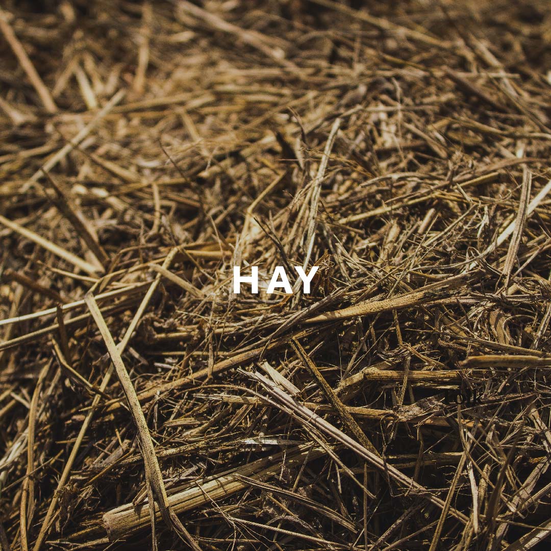 Hay Candle